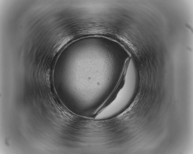 X0000096441162200802071742