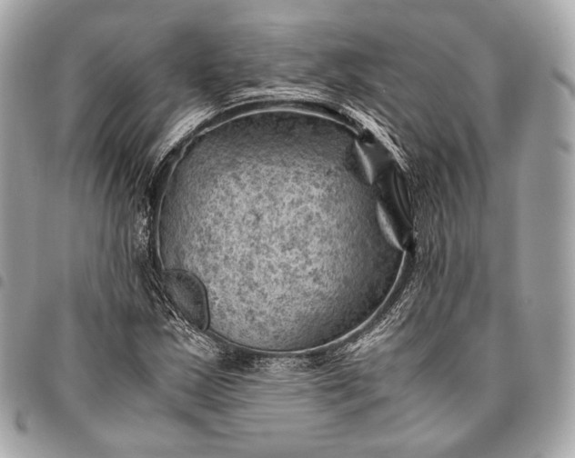 X0000096441163200802071742