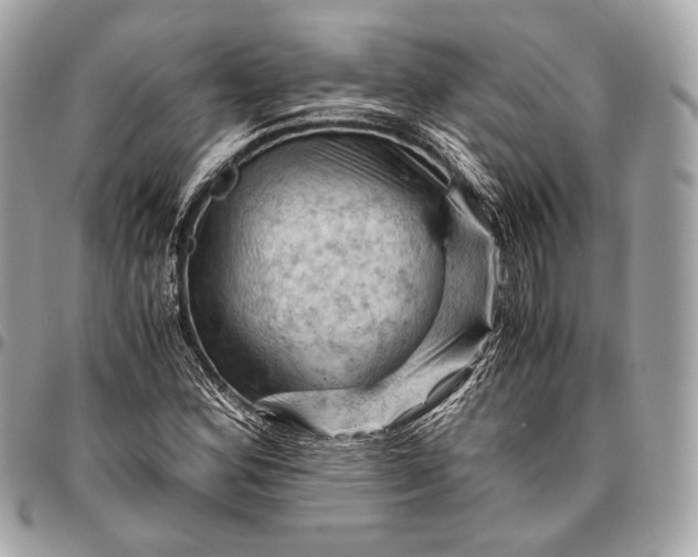 X0000096441164200802071742