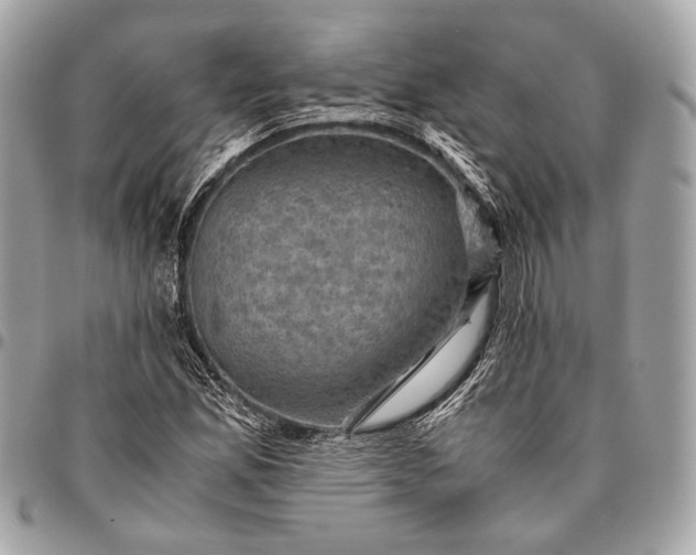 X0000096441165200802071741