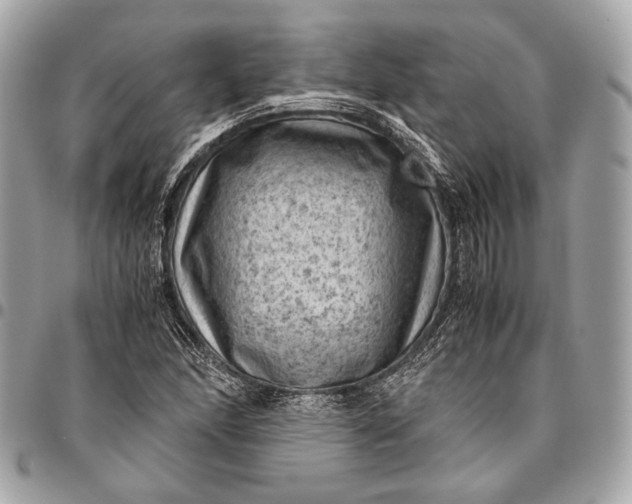 X0000096441166200802071741