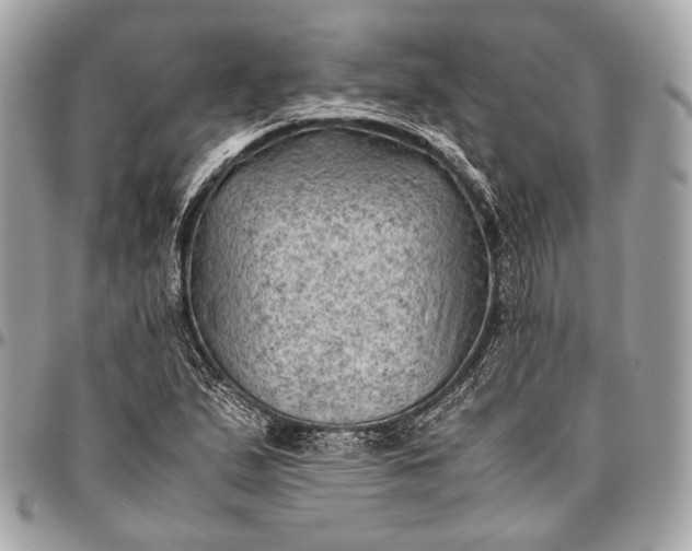 X0000096441167200802071741