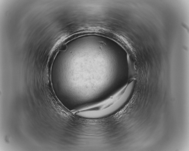 X0000096441172200802071741