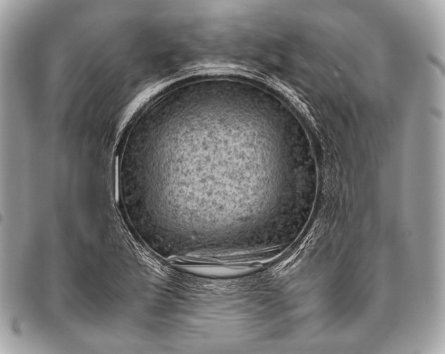 X0000096441175200802071741