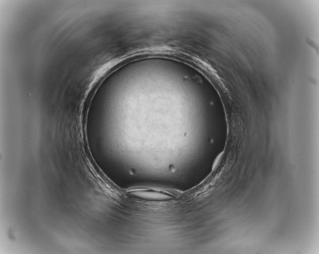 X0000096441176200802071741