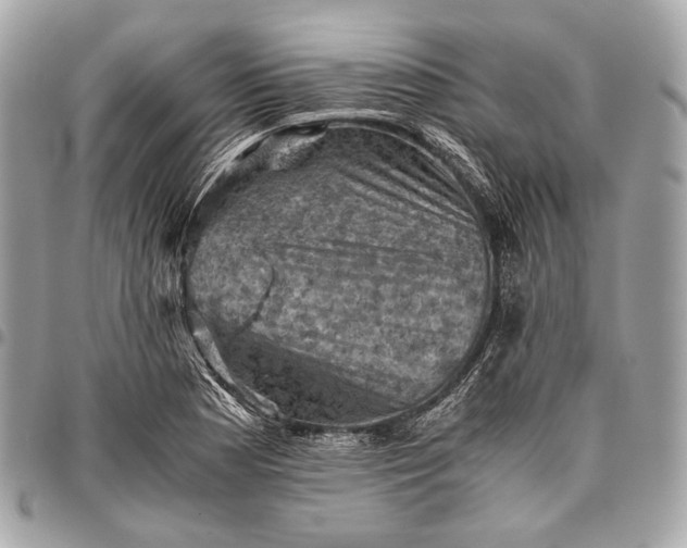 X0000096441177200802071741