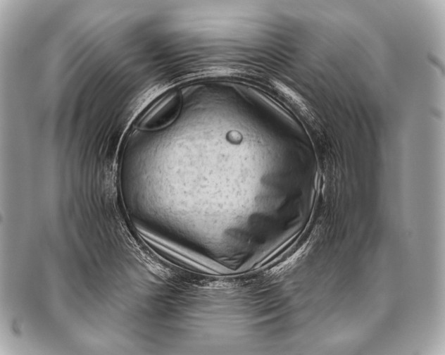 X0000096441178200802071741