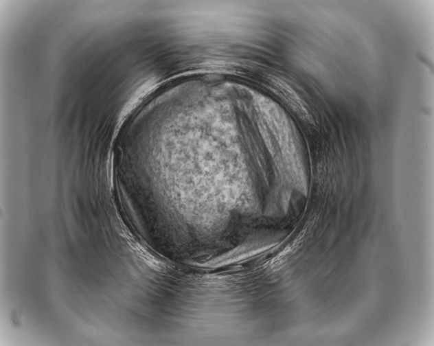 X0000096441180200802071741