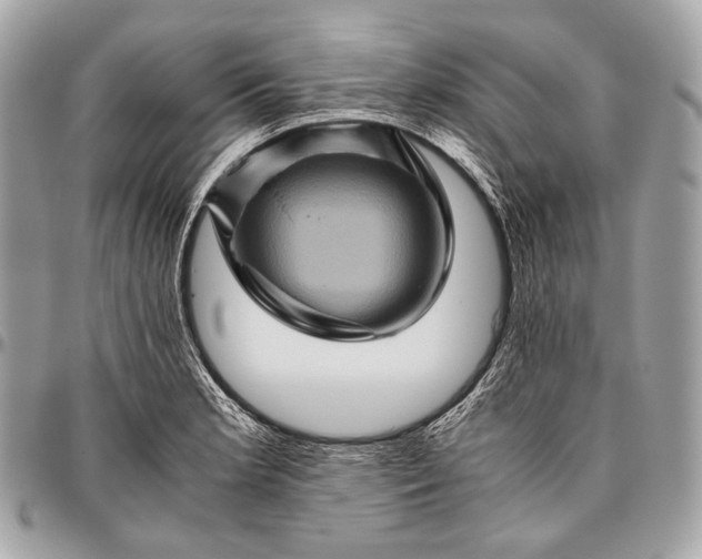 X0000096441181200802071741