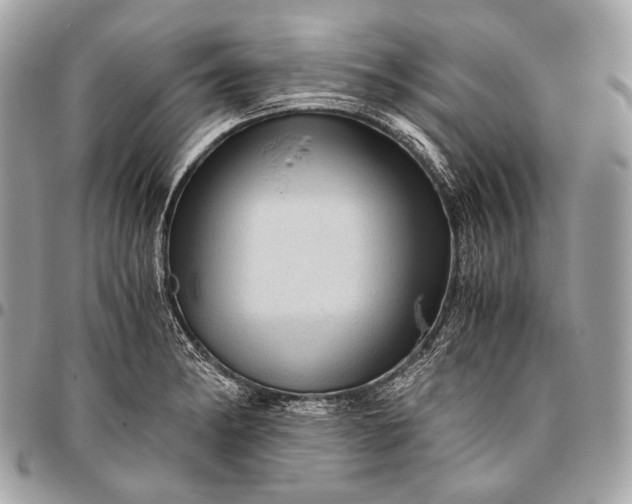 X0000096441182200802071741