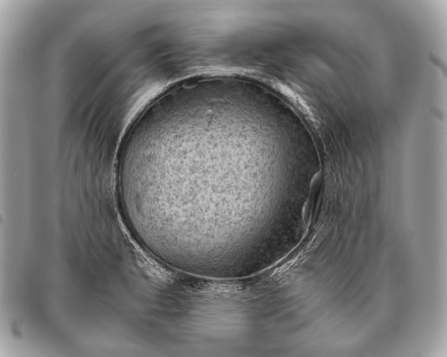 X0000096441183200802071741