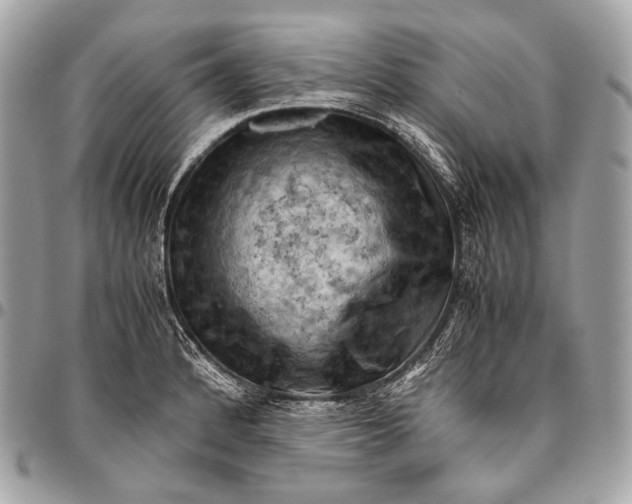 X0000096441184200802071741