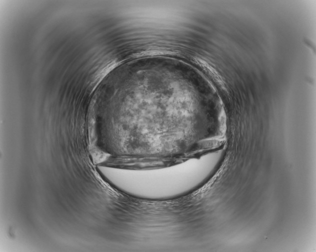 X0000096441185200802071741