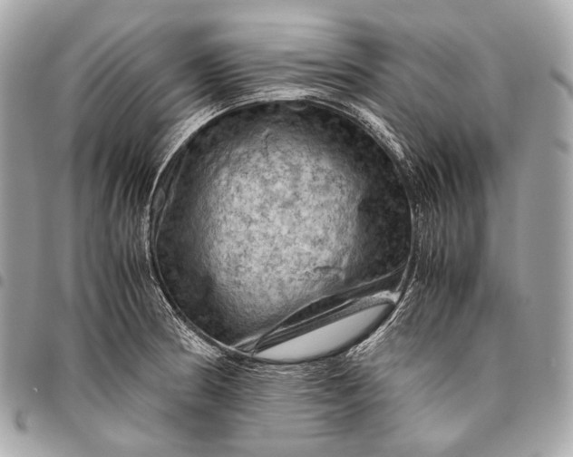 X0000096441186200802071741