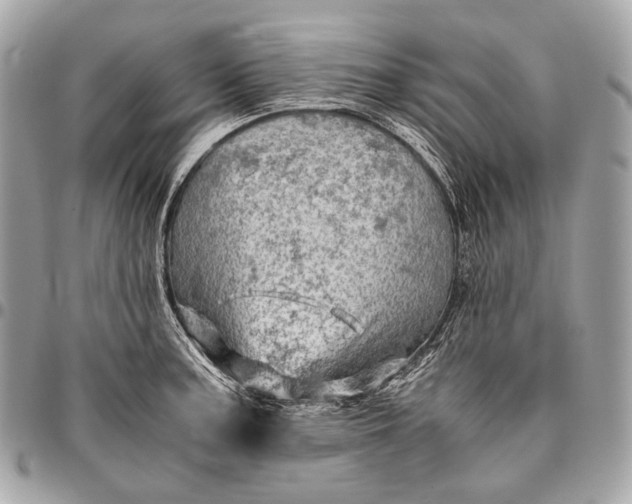 X0000096441187200802071741