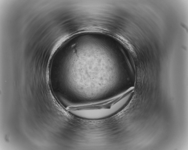 X0000096441188200802071741