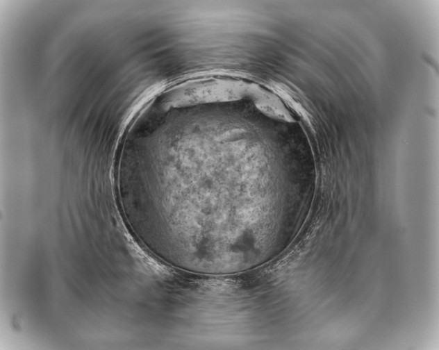 X0000096441189200802071741