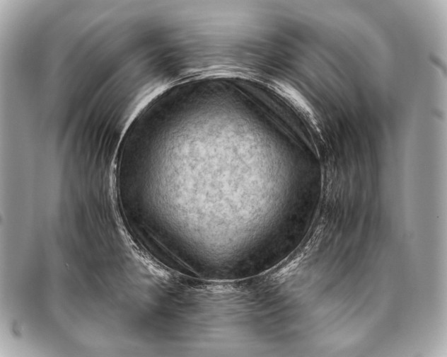 X0000096441190200802071741