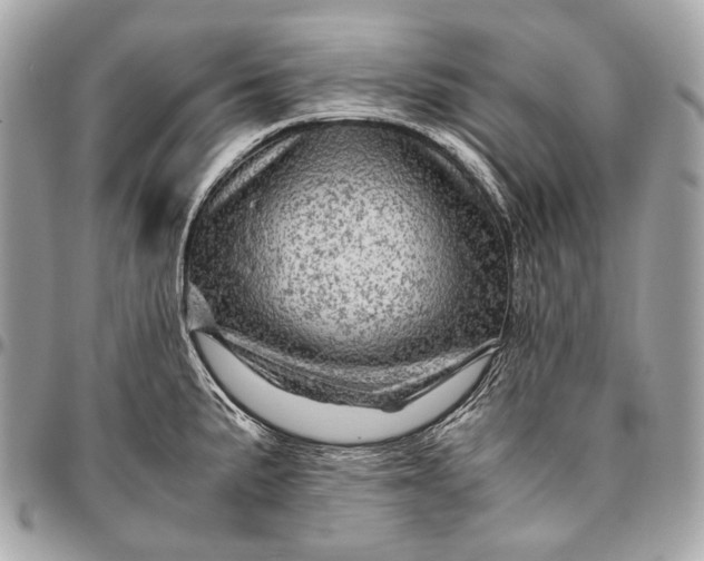 X0000096441191200802071741