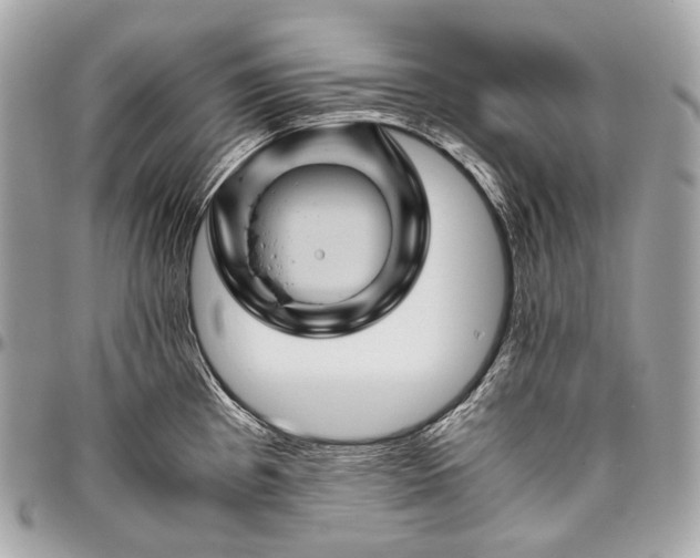 X0000096441193200802071741