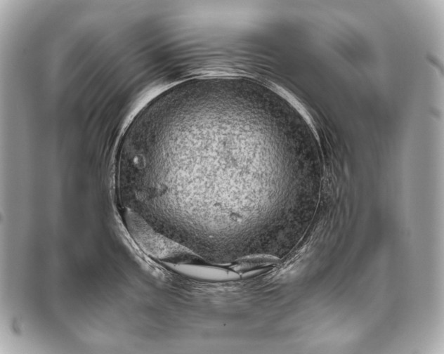 X0000096441195200802071741