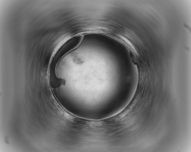 X0000096441196200802071741