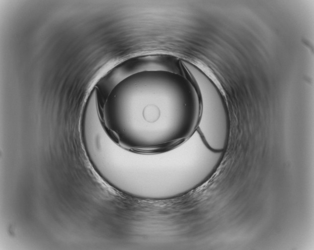 X0000096441197200802071741