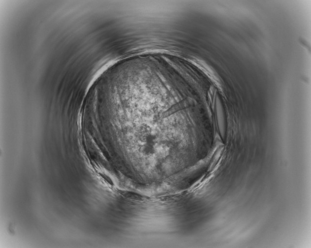 X0000096441198200802071741