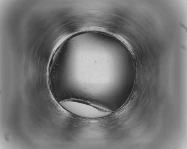 X0000096441199200802071741