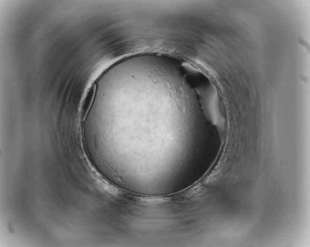 X0000096441200200802071741