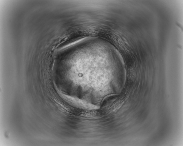 X0000096441201200802071740