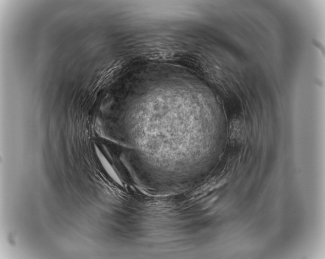 X0000096441202200802071740