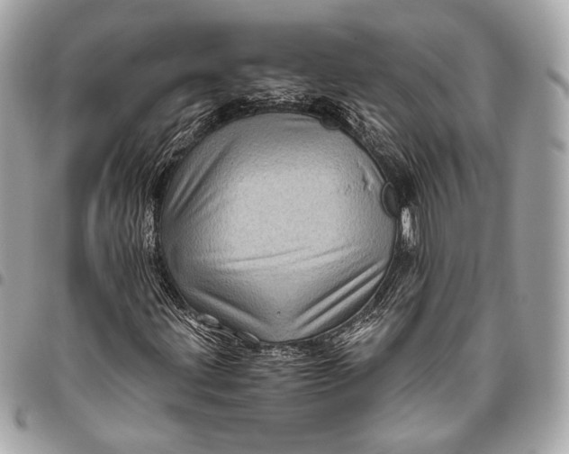 X0000096441203200802071740