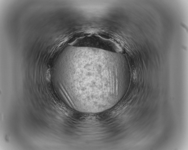 X0000096441204200802071740