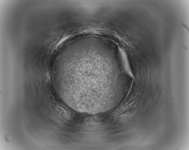 X0000096441206200802071740