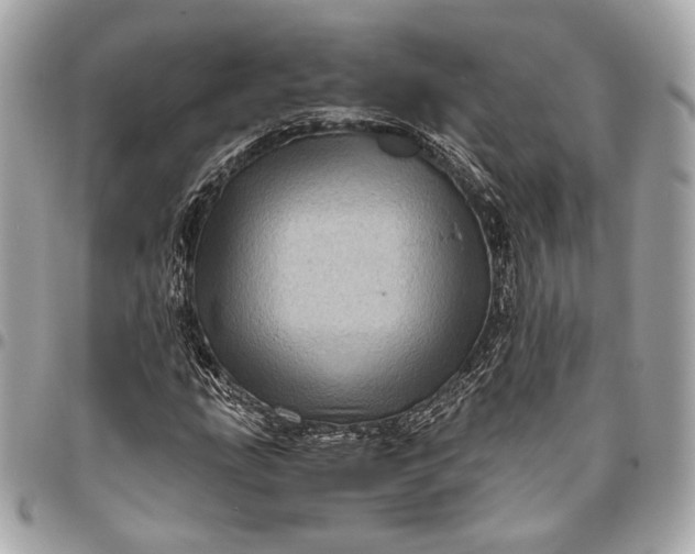 X0000096441207200802071740