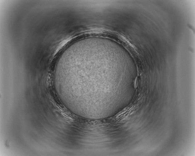 X0000096441208200802071740