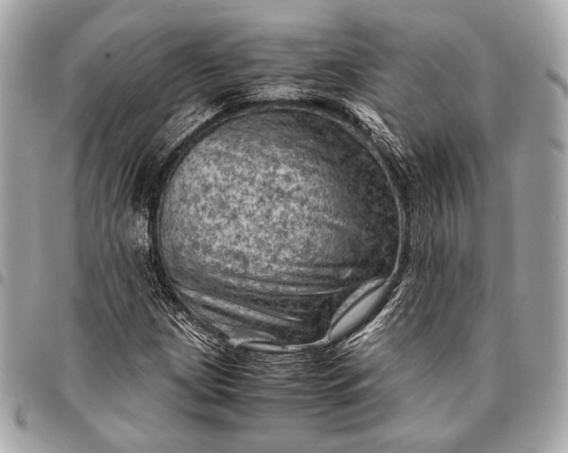 X0000096441209200802071740