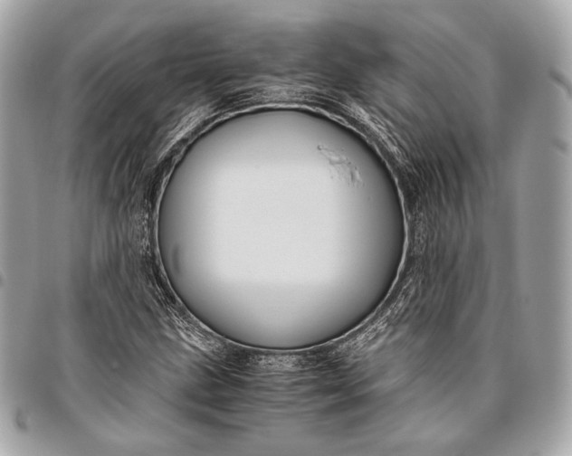 X0000096441211200802071740