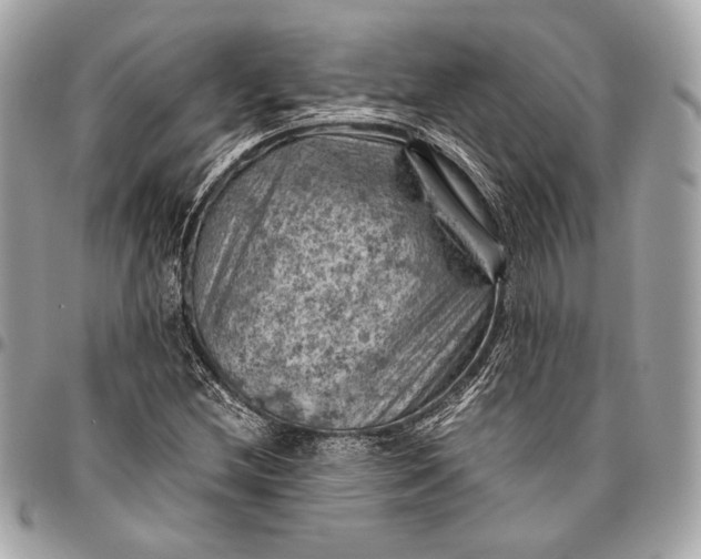 X0000096441212200802071741