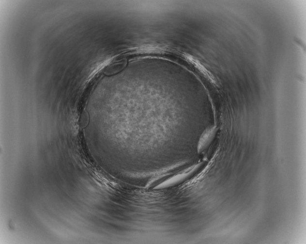 X0000096441213200802071741