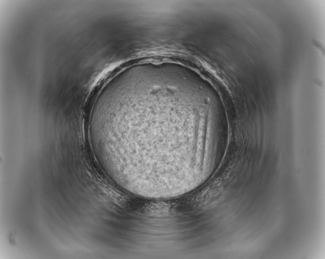 X0000096441214200802071741