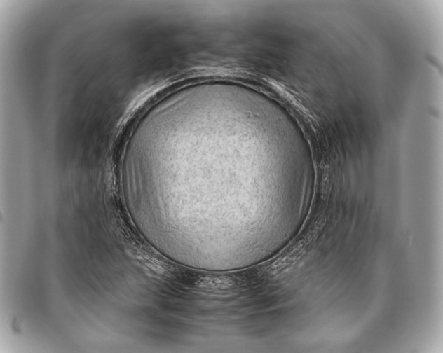 X0000096441215200802071741