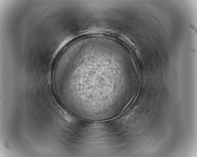 X0000096441216200802071741