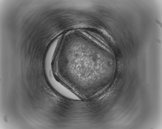 X0000096441217200802071741