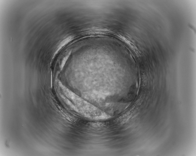 X0000096441219200802071741