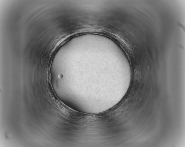 X0000096441220200802071741