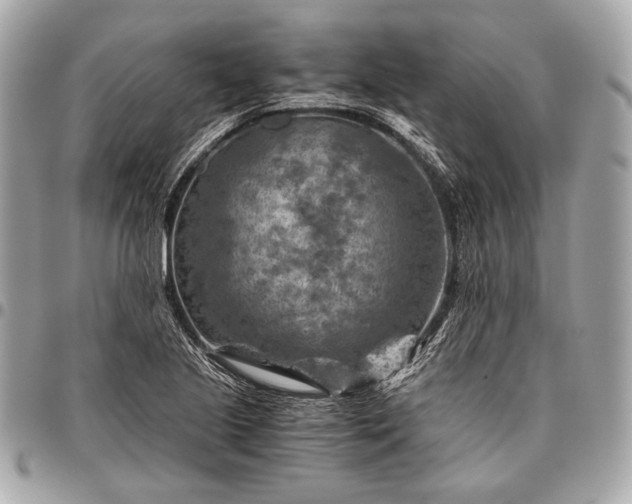 X0000096441221200802071741