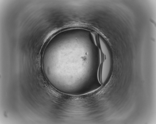 X0000096441222200802071741