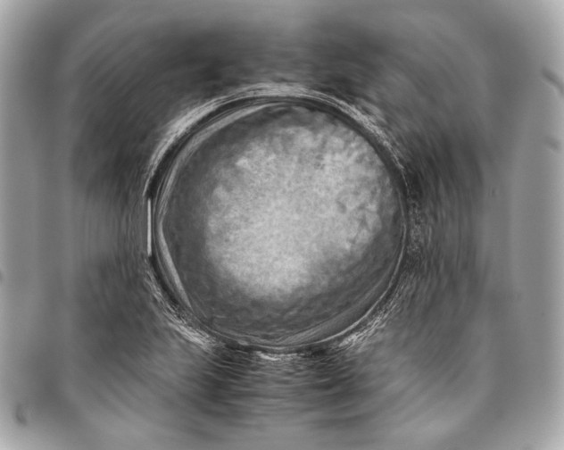 X0000096441223200802071741